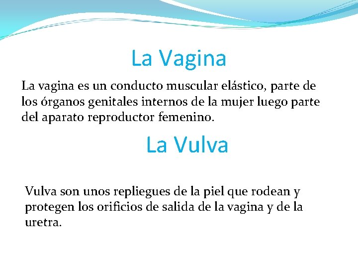 La Vagina La vagina es un conducto muscular elástico, parte de los órganos genitales