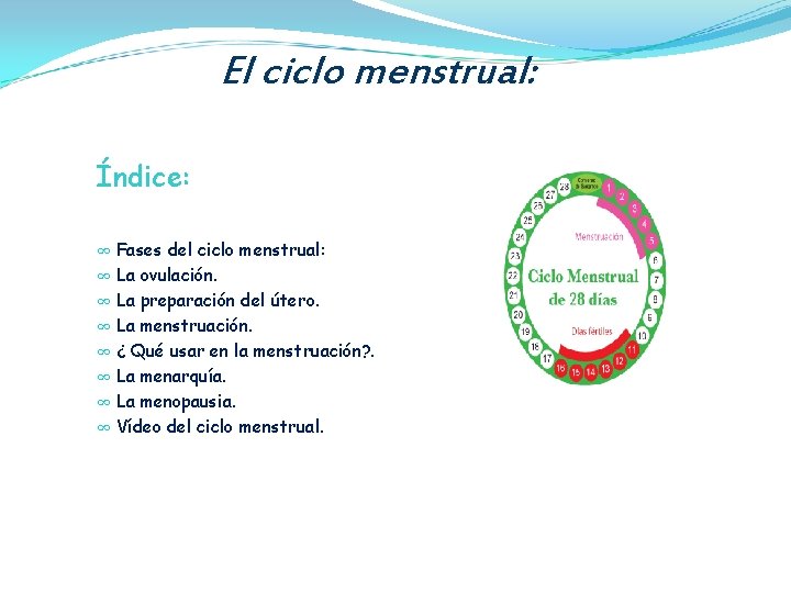 El ciclo menstrual: Índice: ∞ ∞ ∞ ∞ Fases del ciclo menstrual: La ovulación.