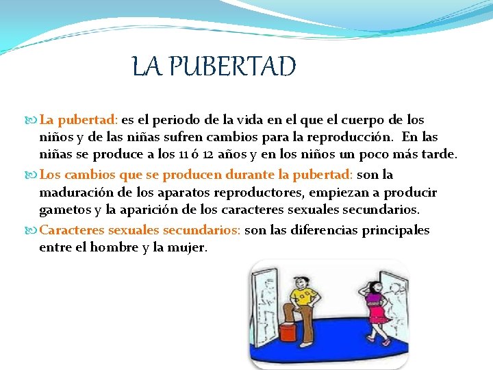 LA PUBERTAD La pubertad: es el periodo de la vida en el que el
