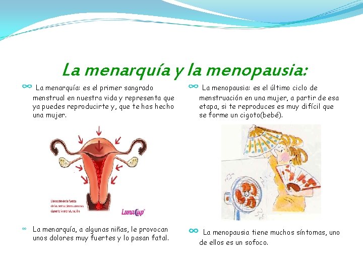 La menarquía y la menopausia: ∞ La menarquía: es el primer sangrado ∞ La