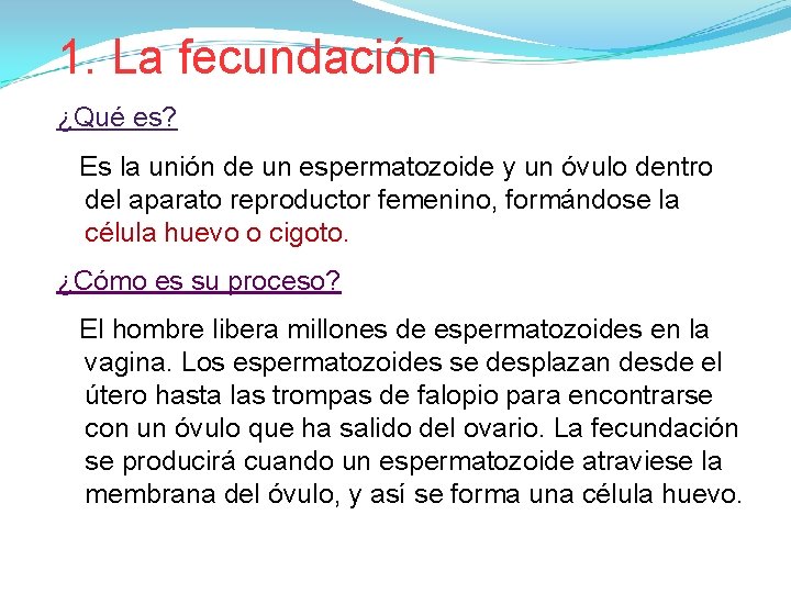 1. La fecundación ¿Qué es? Es la unión de un espermatozoide y un óvulo