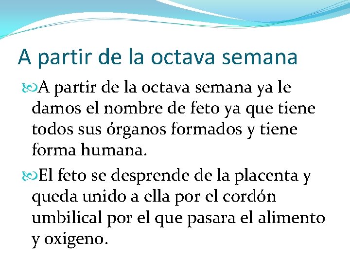 A partir de la octava semana ya le damos el nombre de feto ya
