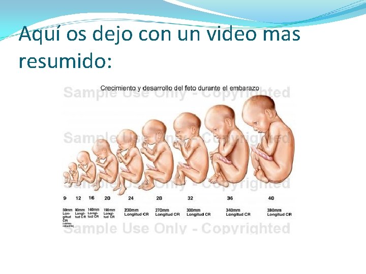 Aquí os dejo con un video mas resumido: 