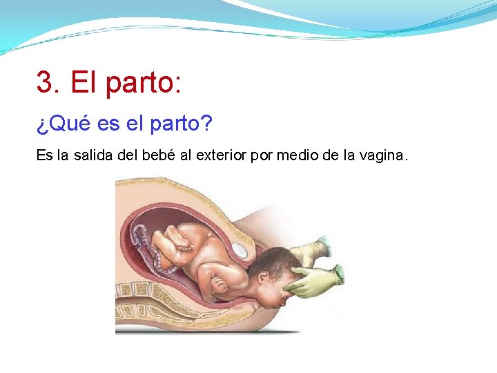 3. El parto: ¿Qué es el parto? Es la salida del bebé al exterior
