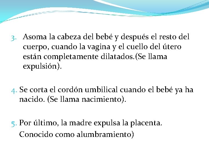 3. Asoma la cabeza del bebé y después el resto del cuerpo, cuando la