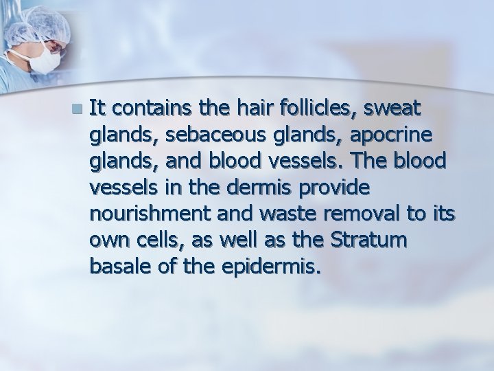 n It contains the hair follicles, sweat glands, sebaceous glands, apocrine glands, and blood