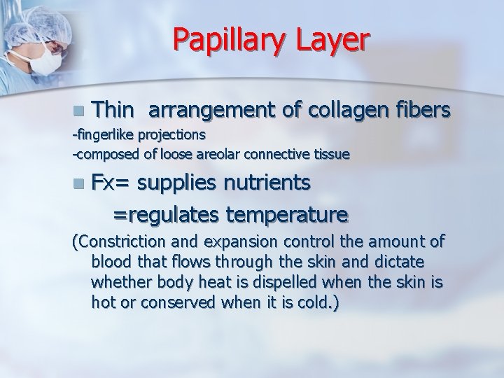 Papillary Layer n Thin arrangement of collagen fibers -fingerlike projections -composed of loose areolar