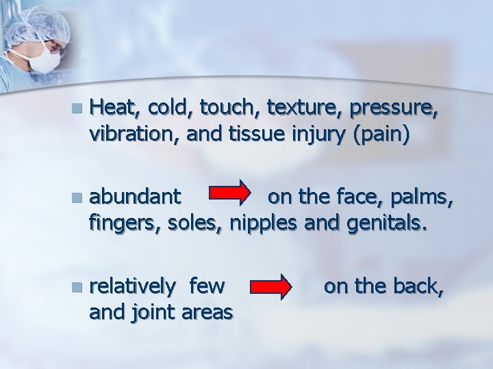 n Heat, cold, touch, texture, pressure, vibration, and tissue injury (pain) n abundant on