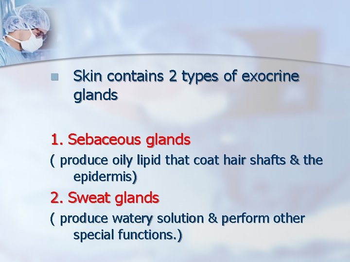 n Skin contains 2 types of exocrine glands 1. Sebaceous glands ( produce oily