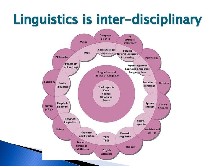 Linguistics is inter-disciplinary 