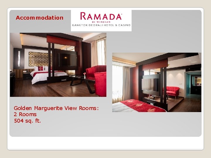 Accommodation Golden Marguerite View Rooms: 2 Rooms 504 sq. ft. 