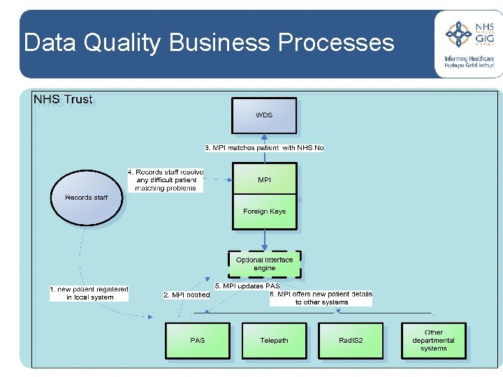Data Quality Business Processes 