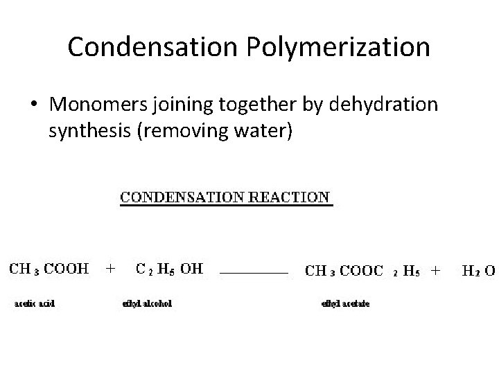 Condensation Polymerization • Monomers joining together by dehydration synthesis (removing water) 