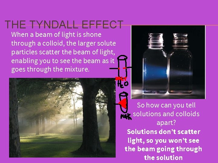 THE TYNDALL EFFECT When a beam of light is shone through a colloid, the