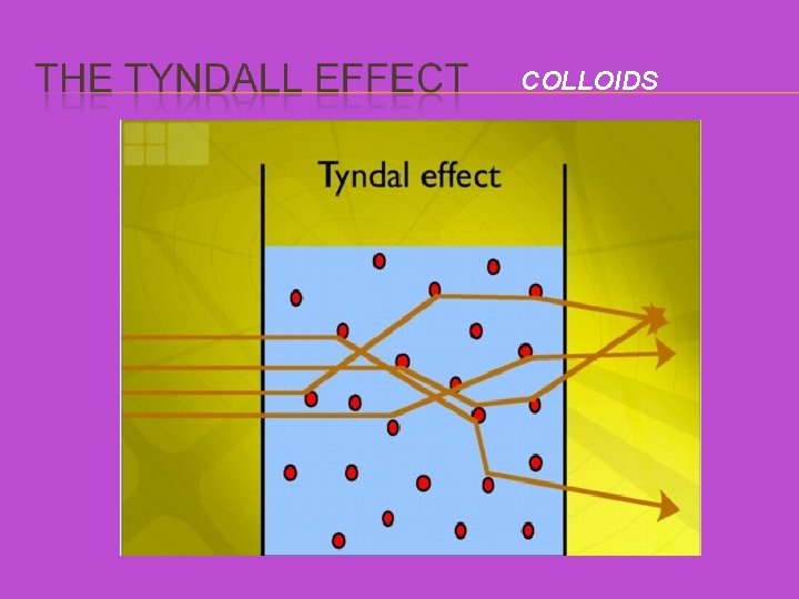 COLLOIDS 