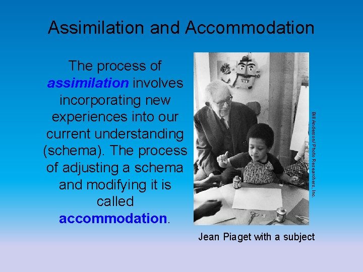 Assimilation and Accommodation Bill Anderson/ Photo Researchers, Inc. The process of assimilation involves incorporating