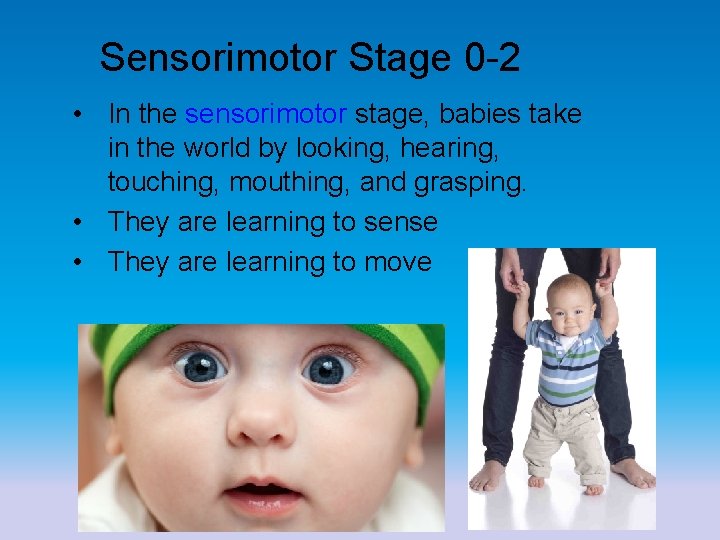 Sensorimotor Stage 0 -2 • In the sensorimotor stage, babies take in the world