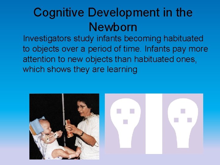 Cognitive Development in the Newborn Investigators study infants becoming habituated to objects over a