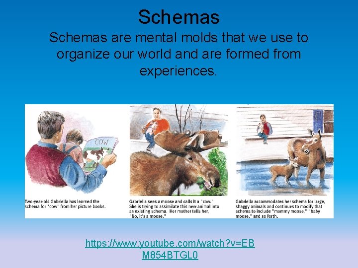 Schemas are mental molds that we use to organize our world and are formed