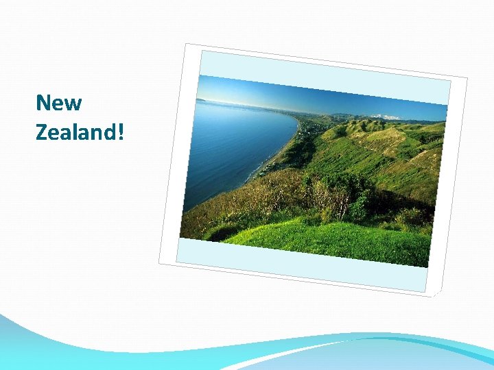New Zealand! New Zealand!