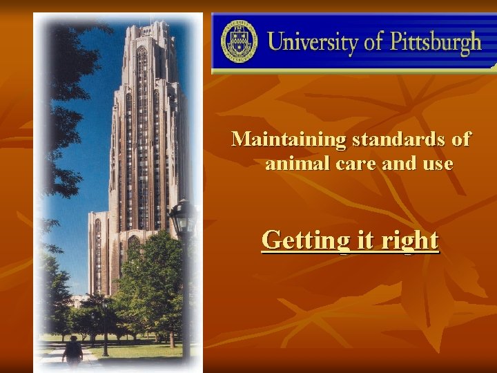 Maintaining standards of animal care and use Getting it right Maintaining standards of animal care and use Getting it right