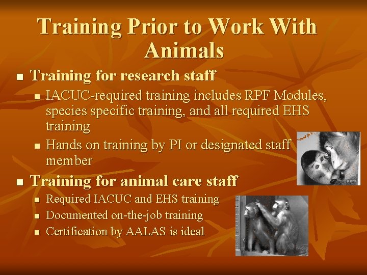 Training Prior to Work With Animals n Training for research staff n n n Training Prior to Work With Animals n Training for research staff n n n