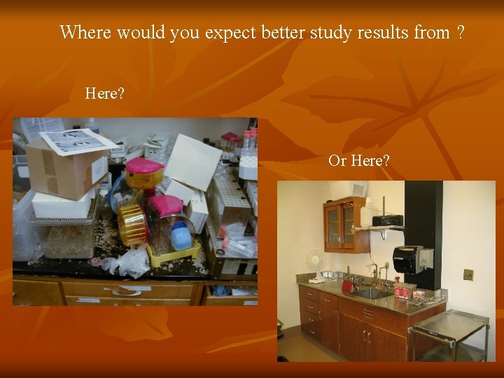 Where would you expect better study results from ? Here? Or Here? Where would you expect better study results from ? Here? Or Here?