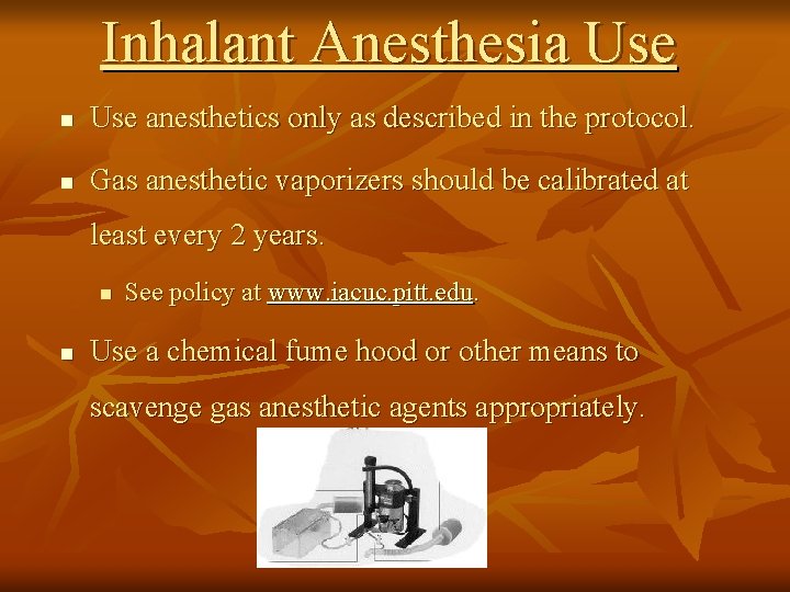 Inhalant Anesthesia Use n Use anesthetics only as described in the protocol. n Gas Inhalant Anesthesia Use n Use anesthetics only as described in the protocol. n Gas