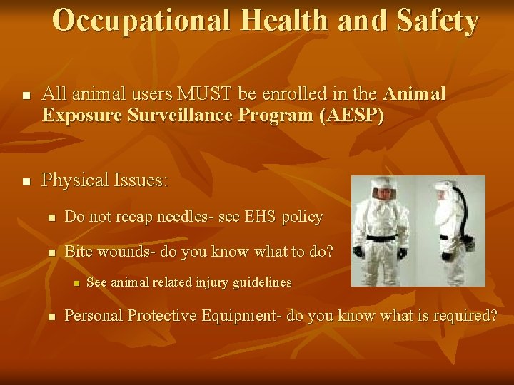 Occupational Health and Safety n n All animal users MUST be enrolled in the Occupational Health and Safety n n All animal users MUST be enrolled in the