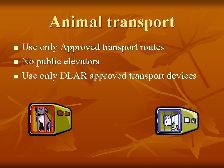 Animal transport n n n Use only Approved transport routes No public elevators Use Animal transport n n n Use only Approved transport routes No public elevators Use