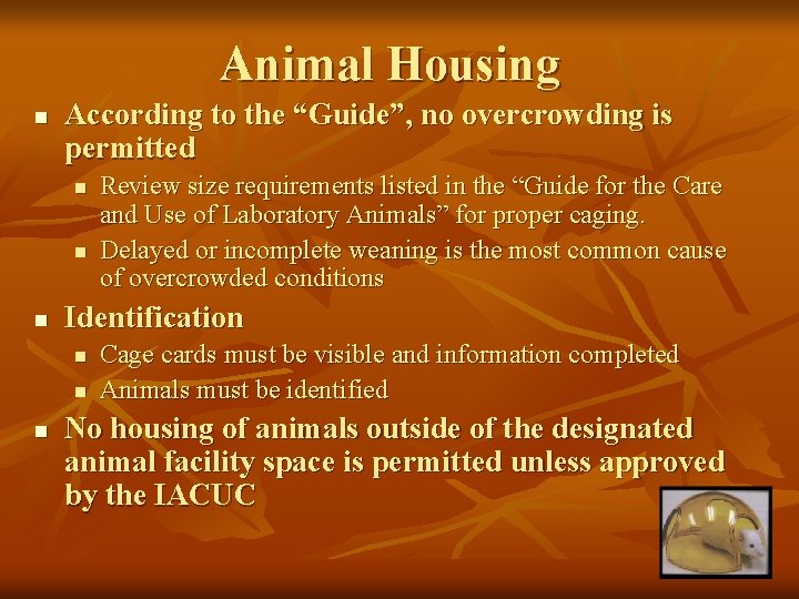 Animal Housing n According to the “Guide”, no overcrowding is permitted n n n Animal Housing n According to the “Guide”, no overcrowding is permitted n n n