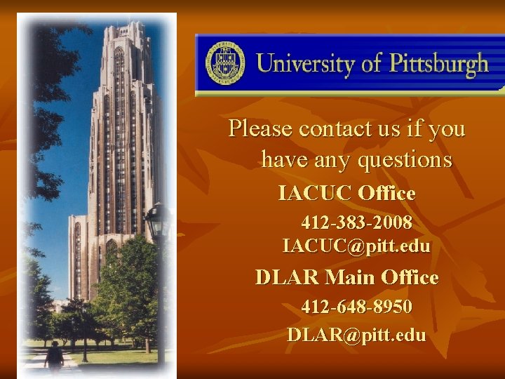 Please contact us if you have any questions IACUC Office 412 -383 -2008 IACUC@pitt. Please contact us if you have any questions IACUC Office 412 -383 -2008 IACUC@pitt.