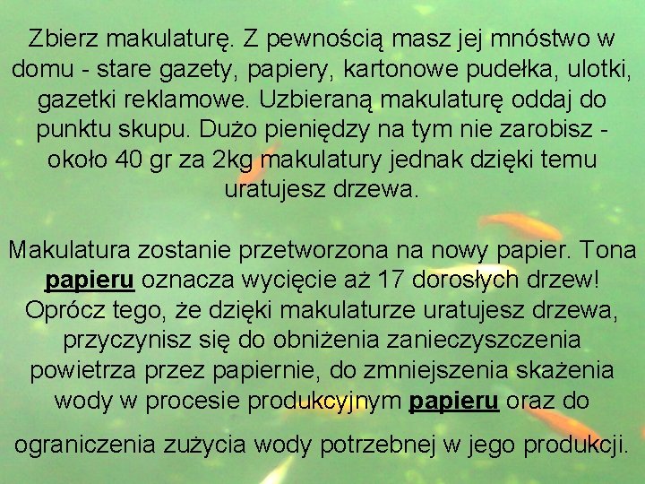 Zbierz makulaturę. Z pewnością masz jej mnóstwo w domu - stare gazety, papiery, kartonowe