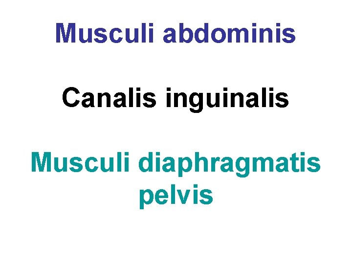 Musculi abdominis Canalis inguinalis Musculi diaphragmatis pelvis 