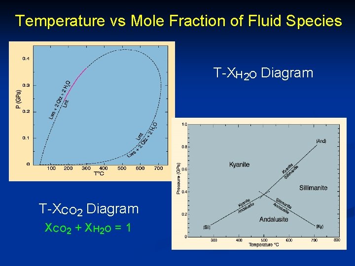 Temperature vs Mole Fraction of Fluid Species T-XH 2 O Diagram T-XCO 2 Diagram