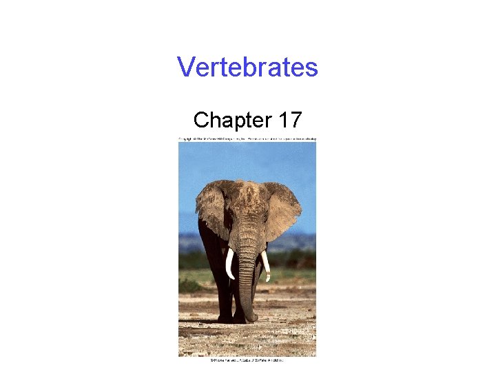 Vertebrates Chapter 17 