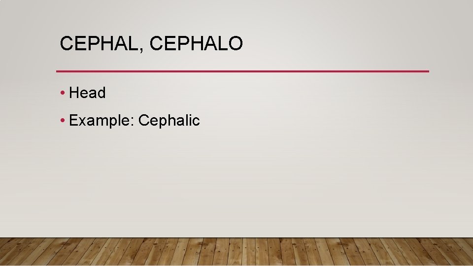CEPHAL, CEPHALO • Head • Example: Cephalic 