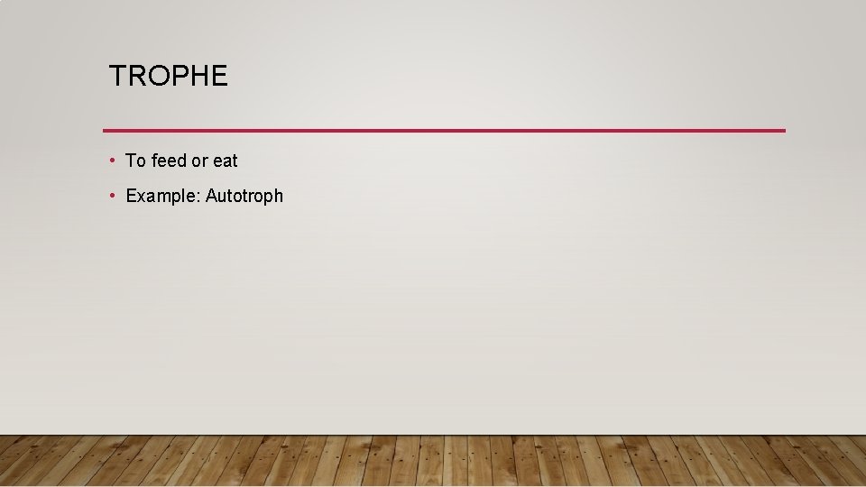 TROPHE • To feed or eat • Example: Autotroph 