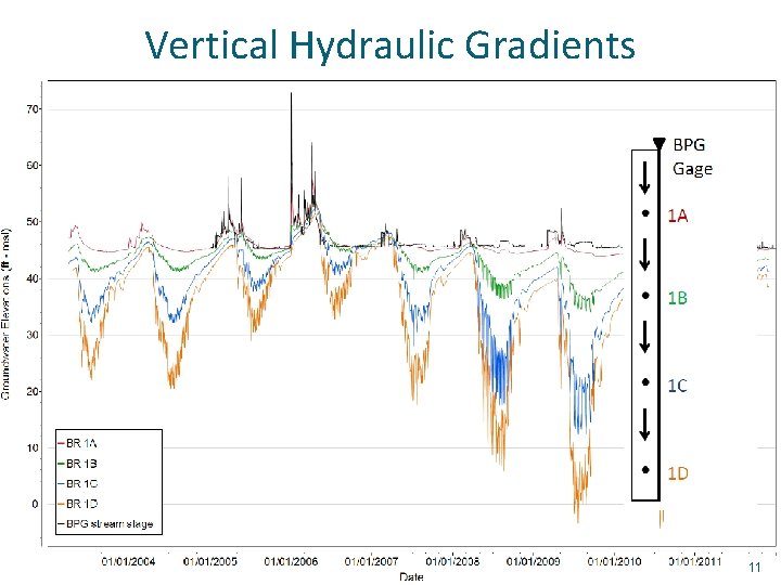 Vertical Hydraulic Gradients 11 