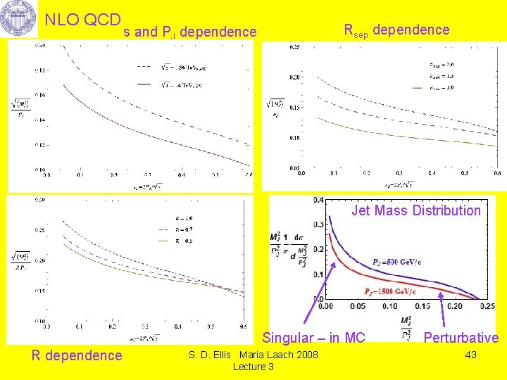 NLO QCD Rsep dependence s and PJ dependence Jet Mass Distribution Singular – in