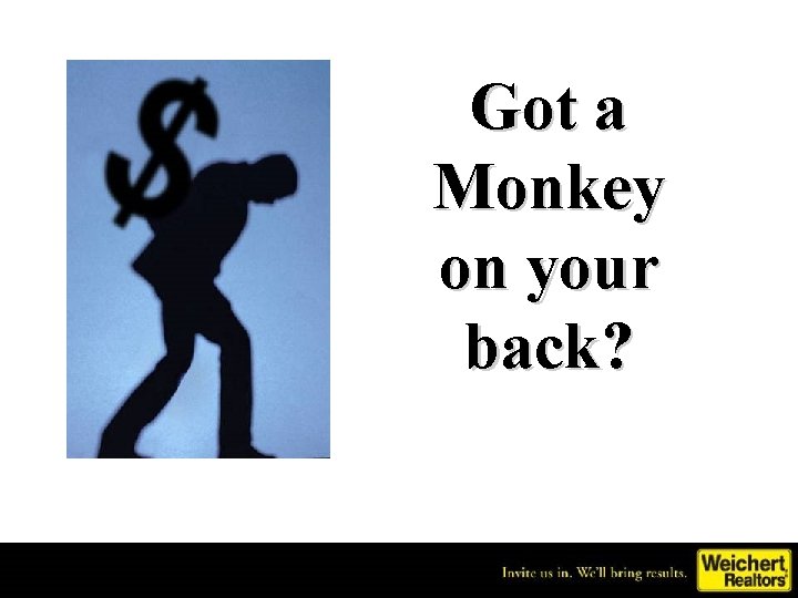 Got a Monkey on your back? 
