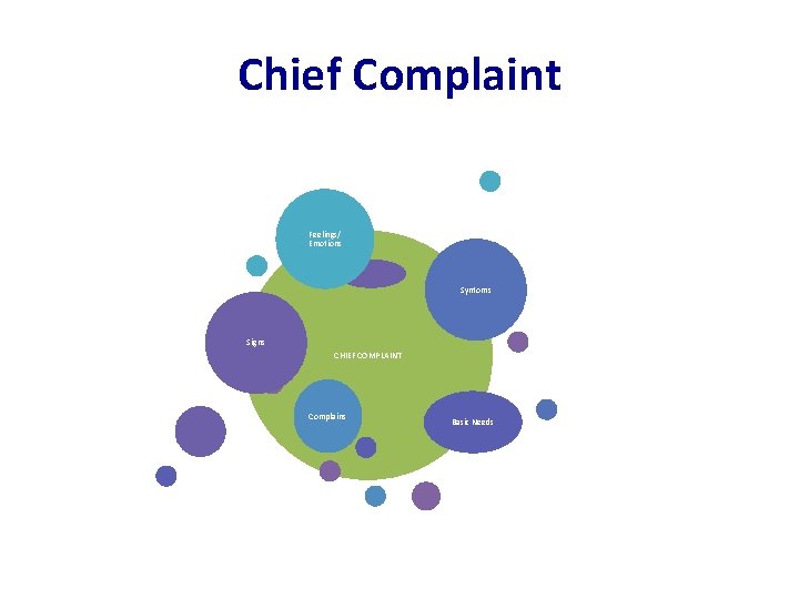Chief Complaint Feelings/ Emotions Syntoms Signs CHIEF COMPLAINT Complains Basic Needs 