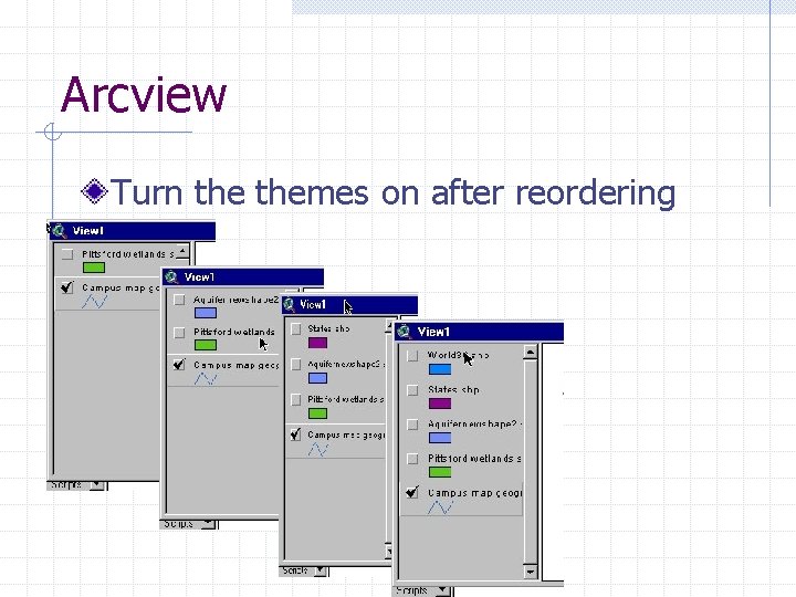 Arcview Turn themes on after reordering 