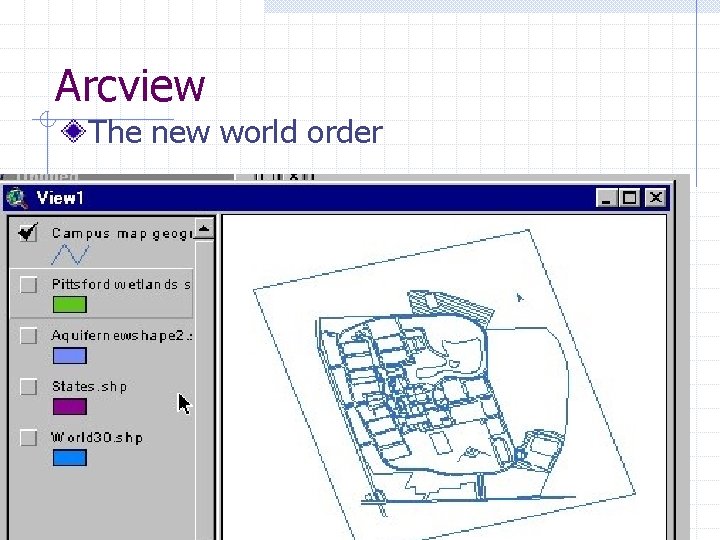 Arcview The new world order 