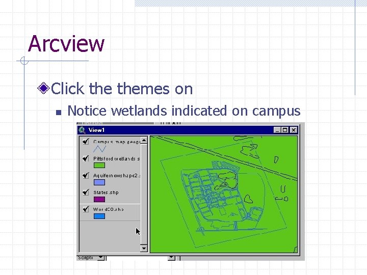 Arcview Click themes on n Notice wetlands indicated on campus 