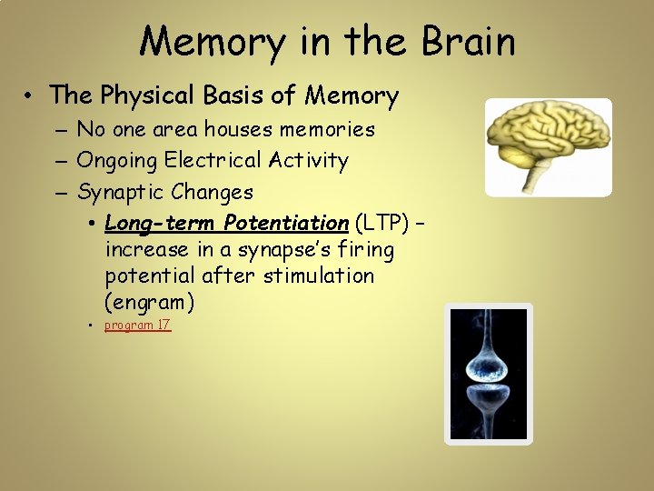 Memory in the Brain • The Physical Basis of Memory – No one area
