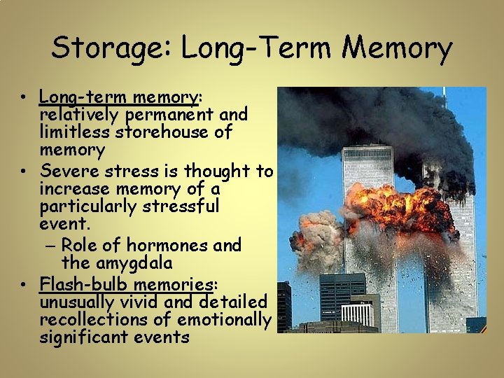 Storage: Long-Term Memory • Long-term memory: relatively permanent and limitless storehouse of memory •