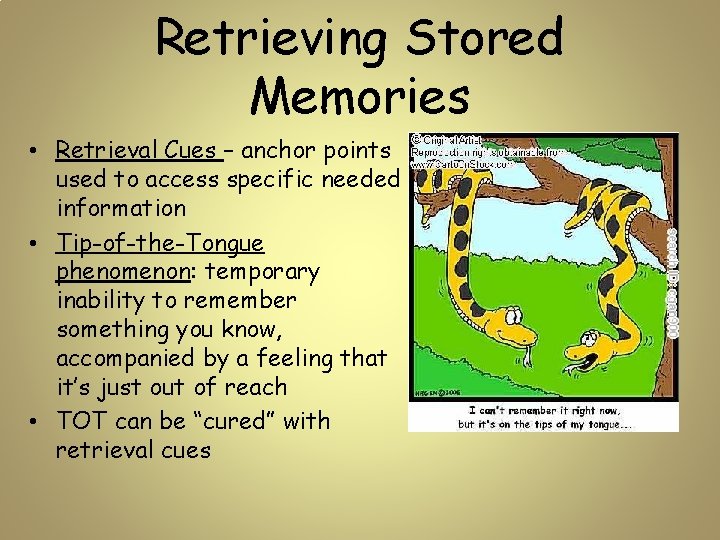 Retrieving Stored Memories • Retrieval Cues – anchor points used to access specific needed