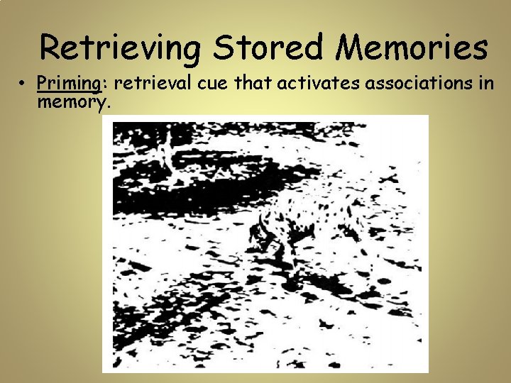 Retrieving Stored Memories • Priming: retrieval cue that activates associations in memory. 