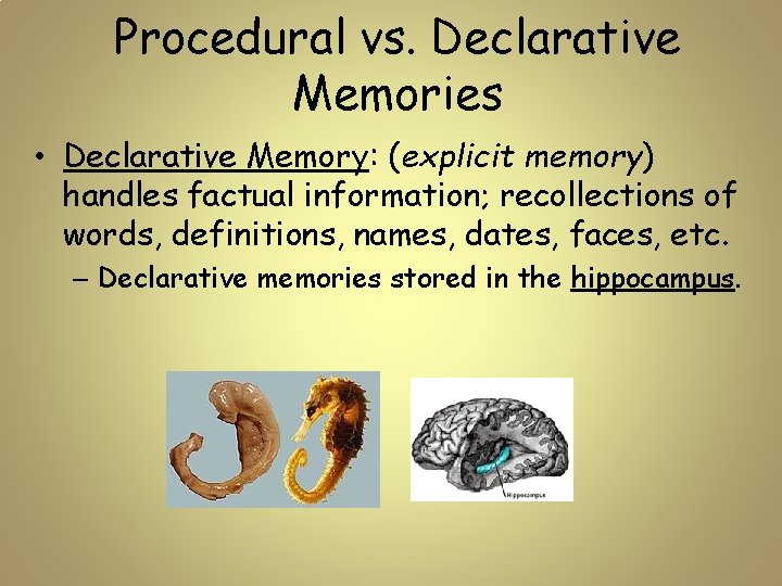 Procedural vs. Declarative Memories • Declarative Memory: (explicit memory) handles factual information; recollections of